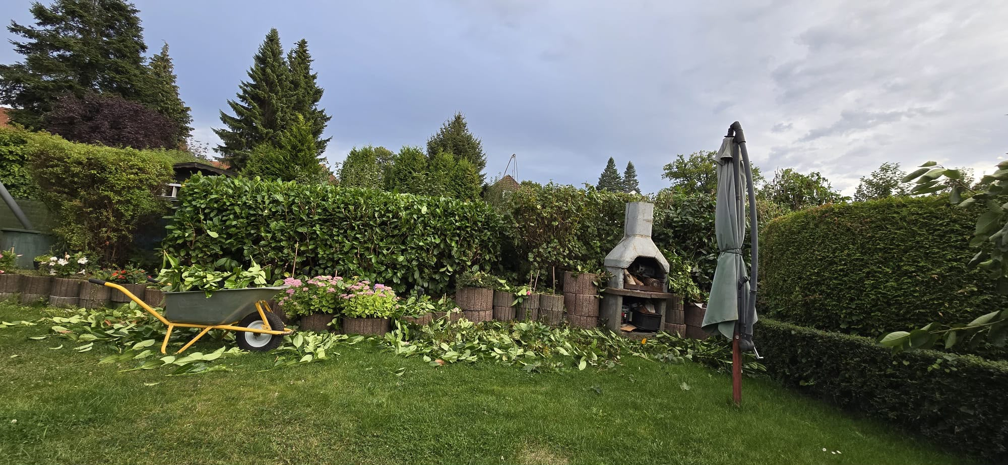 Gartenpflege & Außenpflege in Braunschweig – Dienstleistungen Galjip Bangoji